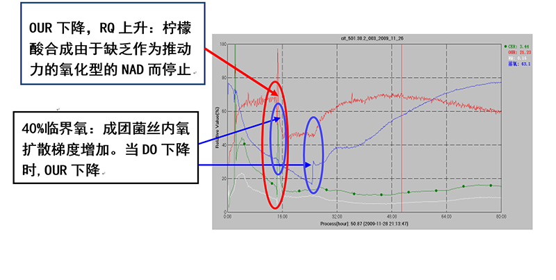 檸檬酸發(fā)酵的多尺度相關(guān)分析